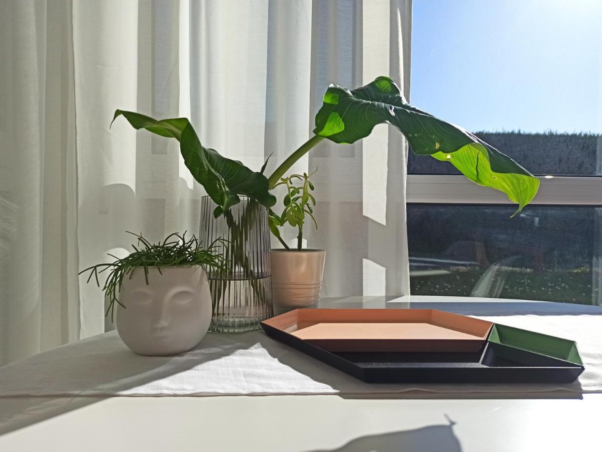 Bajo Con Jardin Privado Leilighet Santander Eksteriør bilde
