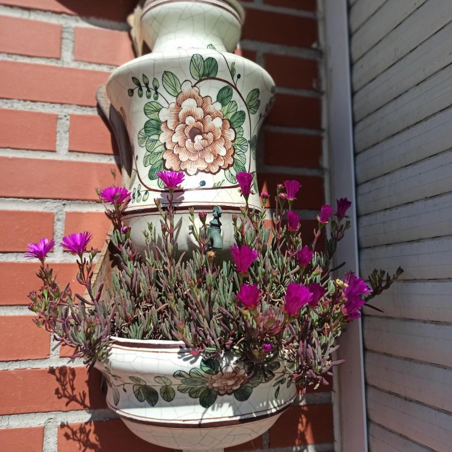 Bajo Con Jardin Privado Leilighet Santander Eksteriør bilde